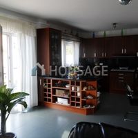 Villa in Spain, Canary Islands, Santa Cruz de Tenerife, 440 sq.m.