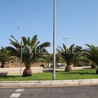 Villa in Spain, Canary Islands, Santa Cruz de Tenerife, 3750 sq.m.