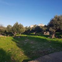 Land plot in Greece, Crete