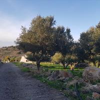 Land plot in Greece, Crete