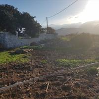 Земельный участок в Греции, Крит