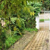 Other in Greece, Ionian Islands, 250 sq.m.