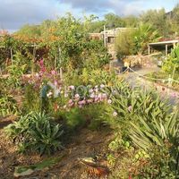 Вилла в Испании, Канарские Острова, Санта-Крус-де-Тенерифе, 6673 кв.м.