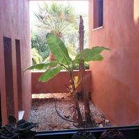 Other in Greece, Crete, Chania, 400 sq.m.