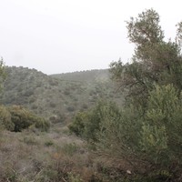 Земельный участок в Греции, Крит