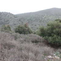 Земельный участок в Греции, Крит