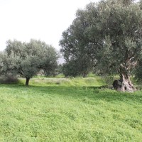 Land plot in Greece, Crete