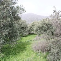 Land plot in Greece, Crete