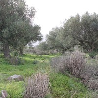 Land plot in Greece, Crete