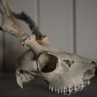 Hotel in Greece, Crete, Chania, 1300 sq.m.