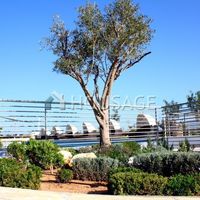 Flat in Republic of Cyprus, Lemesou, 100 sq.m.