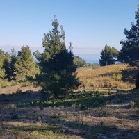 Land plot in Greece, Central Macedonia, Center