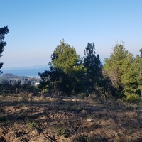 Land plot in Greece, Central Macedonia, Center