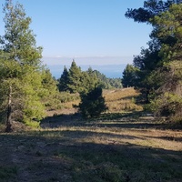 Land plot in Greece, Central Macedonia, Center