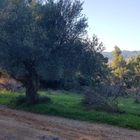 Земельный участок в Греции, Центральная Македония, Центр