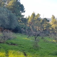 Земельный участок в Греции, Центральная Македония, Центр