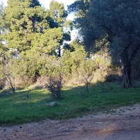 Земельный участок в Греции, Центральная Македония, Центр