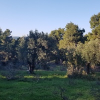 Земельный участок в Греции, Центральная Македония, Центр