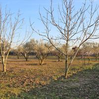 Other in Greece, Central Macedonia, Center, 263 sq.m.