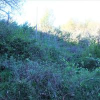 Land plot in Greece, Ionian Islands