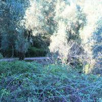 Land plot in Greece, Ionian Islands