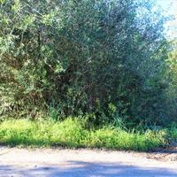 Land plot in Greece, Ionian Islands