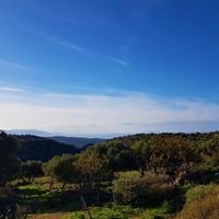 Land plot in Greece, Crete