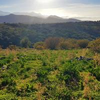 Land plot in Greece, Crete