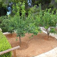 Таунхаус в Греции, Пелопоннес, 100 кв.м.