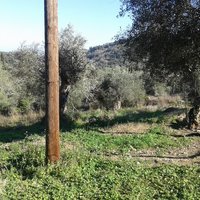 Land plot in Greece, Ionian Islands