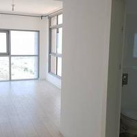 Penthouse in Israel, 220 sq.m.