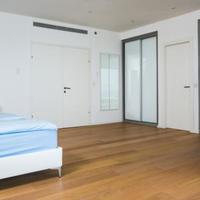 Penthouse in Israel, 310 sq.m.