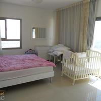 Penthouse in Israel, 240 sq.m.