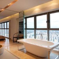 Elite real estate in Israel, 430 sq.m.