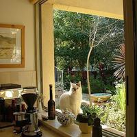 Вилла в Израиле, 320 кв.м.