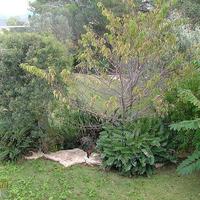 Вилла в Израиле, 320 кв.м.