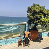 Пентхаус в Израиле, 240 кв.м.