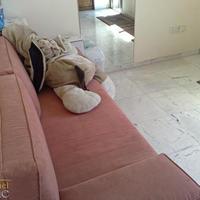 Пентхаус в Израиле, 240 кв.м.