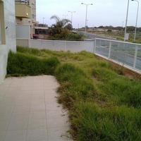 Вилла в Израиле, 285 кв.м.