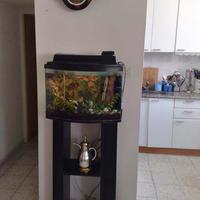 Квартира в Израиле, 135 кв.м.