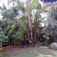 Villa in Israel, 320 sq.m.