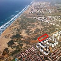 Другое в Израиле