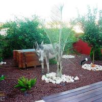 Вилла в Израиле, 230 кв.м.