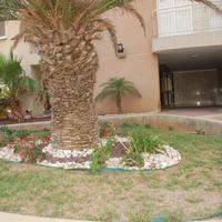 Квартира в Израиле, 145 кв.м.