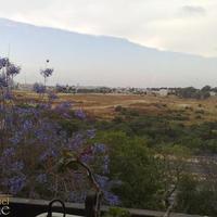 Penthouse in Israel, 190 sq.m.