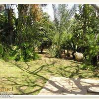 Villa in Israel, 270 sq.m.