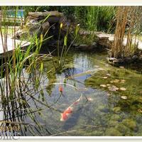 Villa in Israel, 390 sq.m.