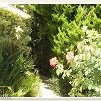 Villa in Israel, 310 sq.m.