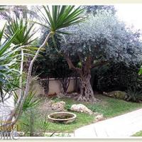 Вилла в Израиле, 340 кв.м.