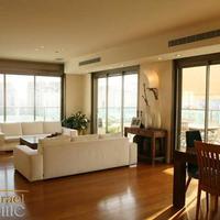 Penthouse in Israel, 210 sq.m.